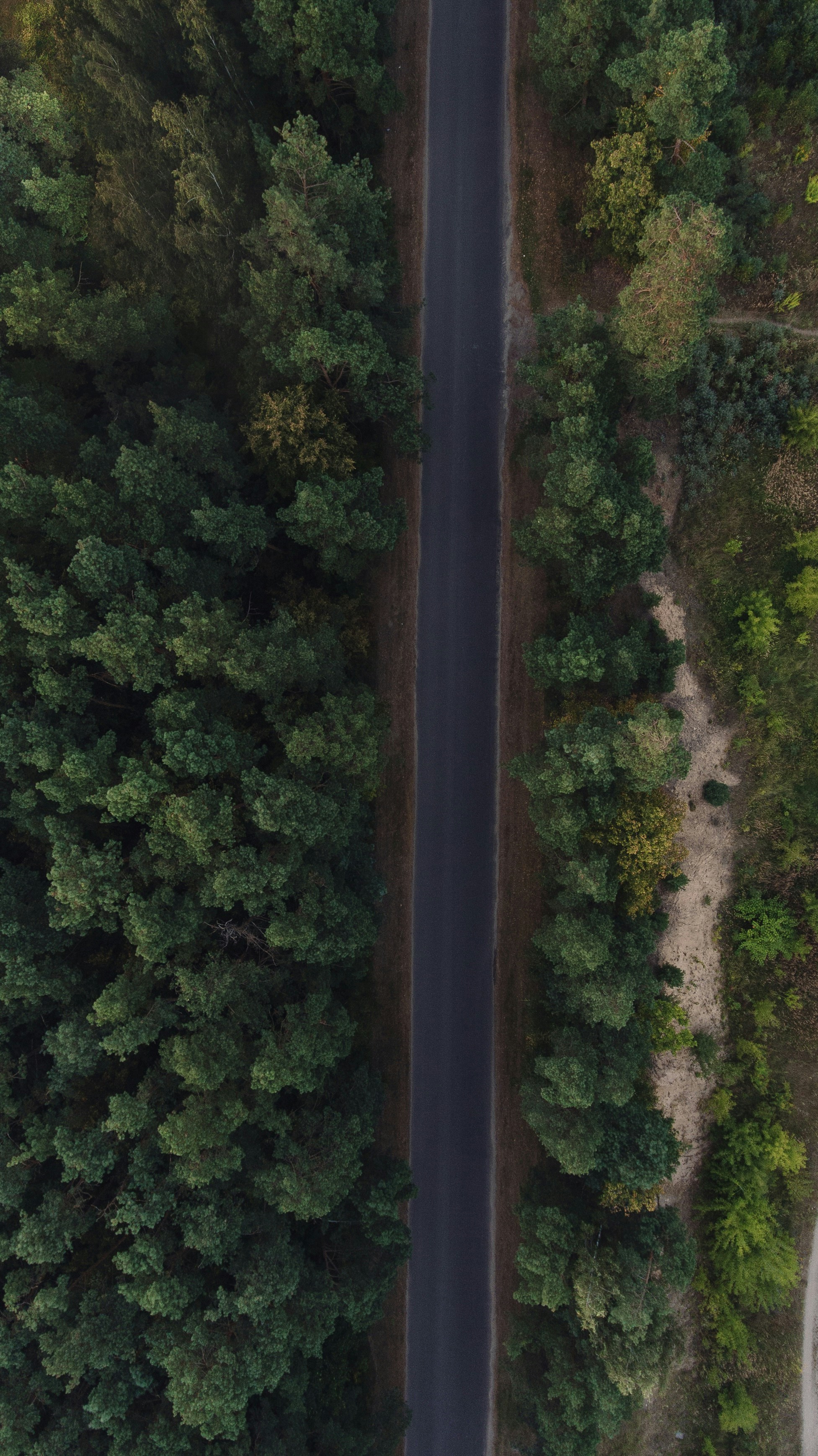 Photo by shot_by_andrius