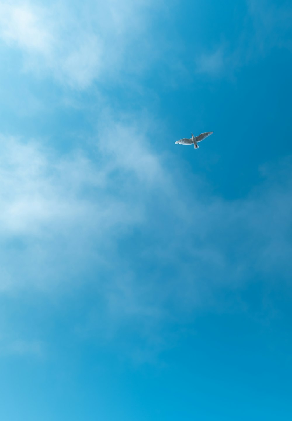 a plane flying in the sky