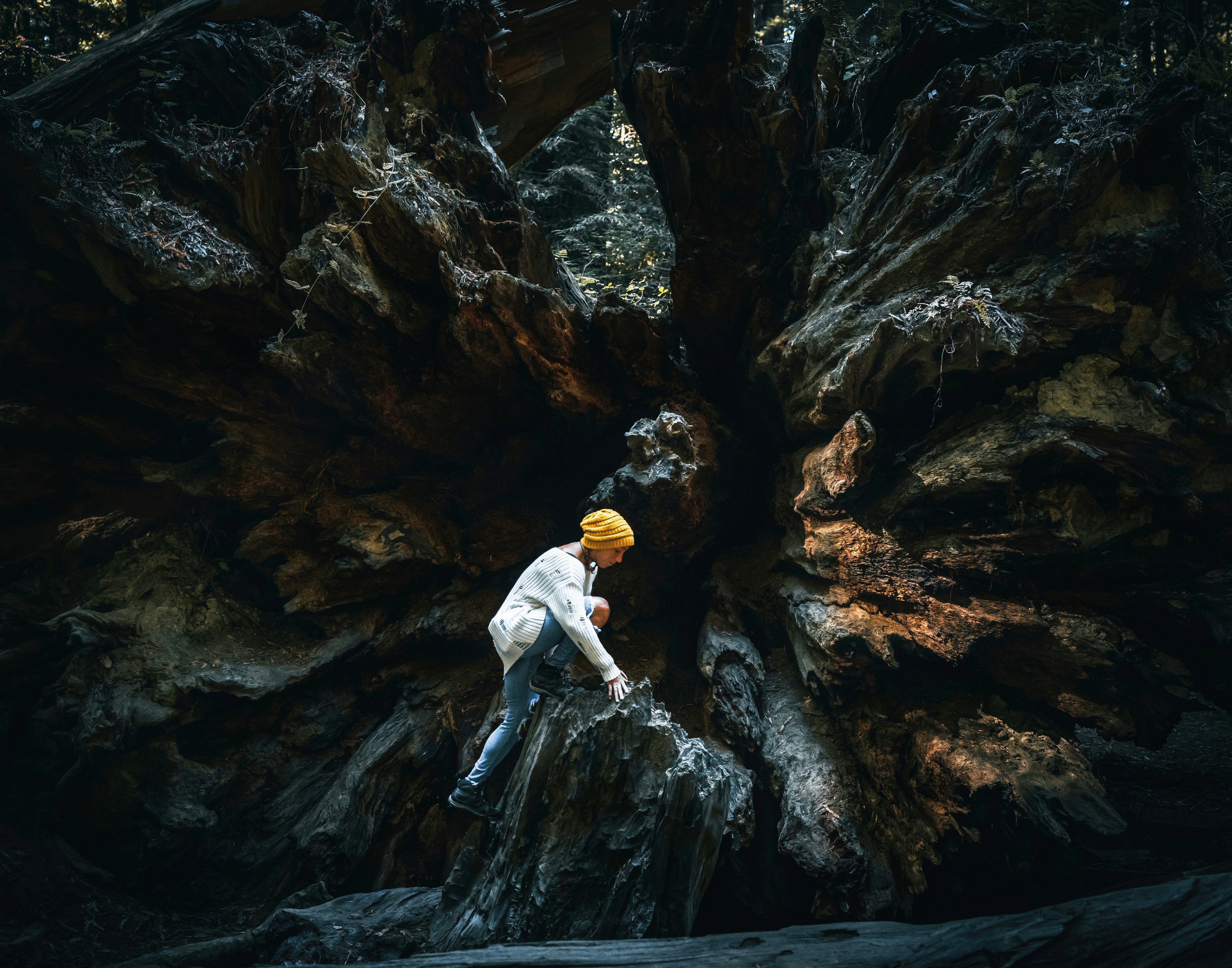 a man climbing a rock