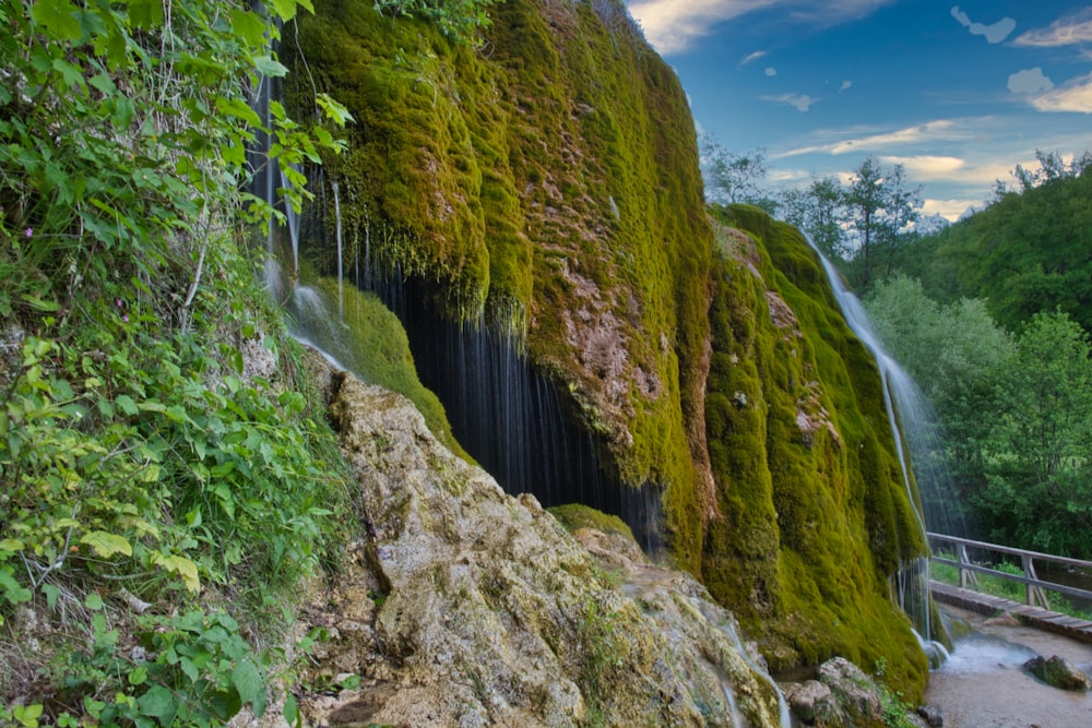 a waterfall in a forest