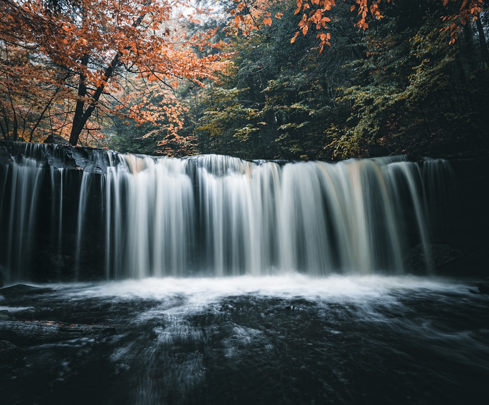 a waterfall with trees around it