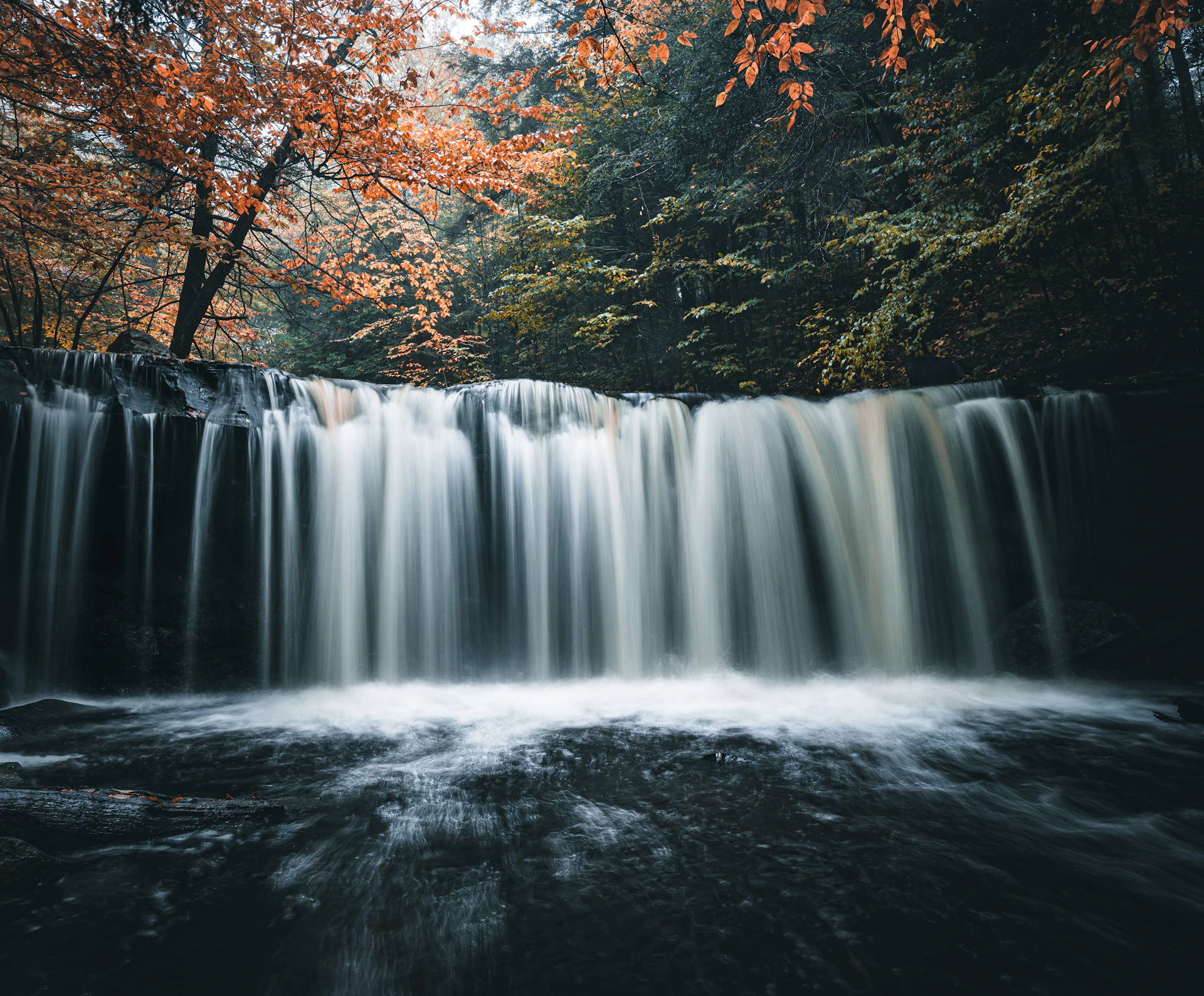 a waterfall with trees around it