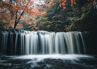 a waterfall with trees around it