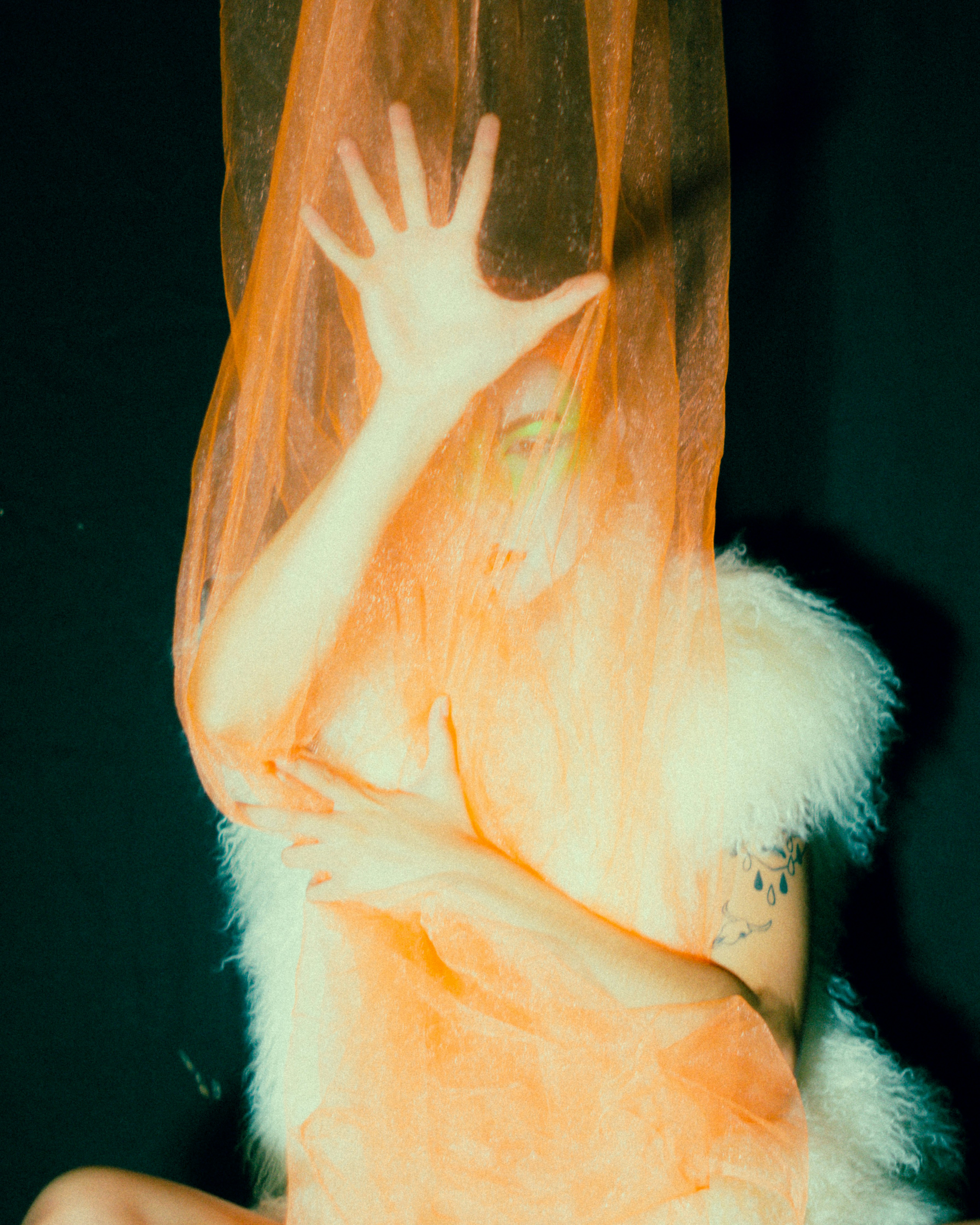 a close up of a flower