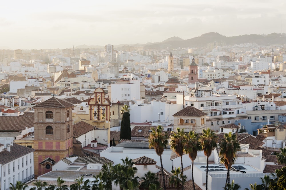 a city with many buildings