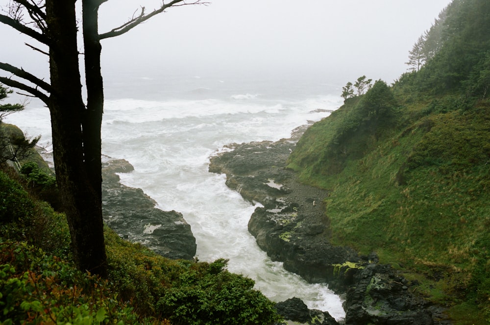 a rocky beach with trees and a body of water