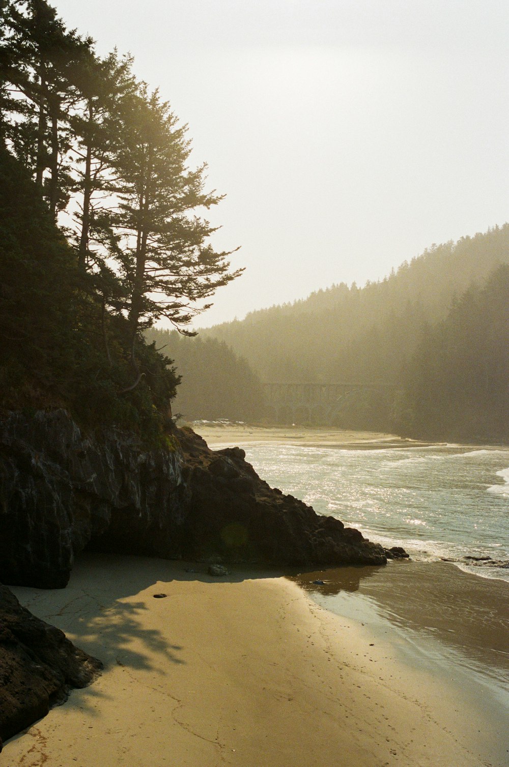 a beach with trees and rocks