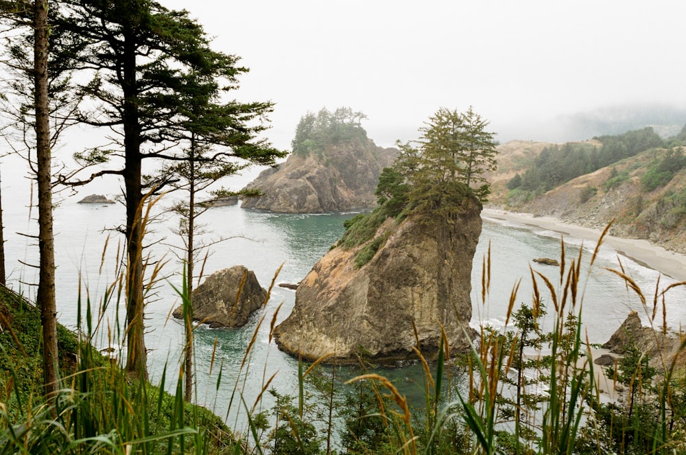 a body of water with rocks and trees around it