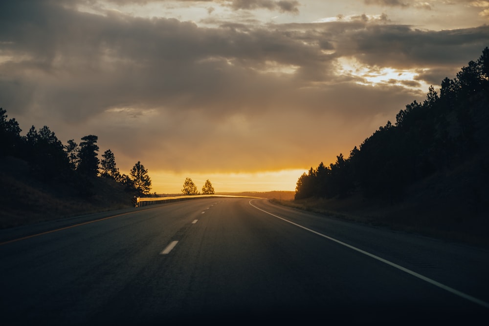 a road with trees on the side