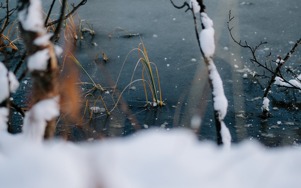 a body of water with snow on it