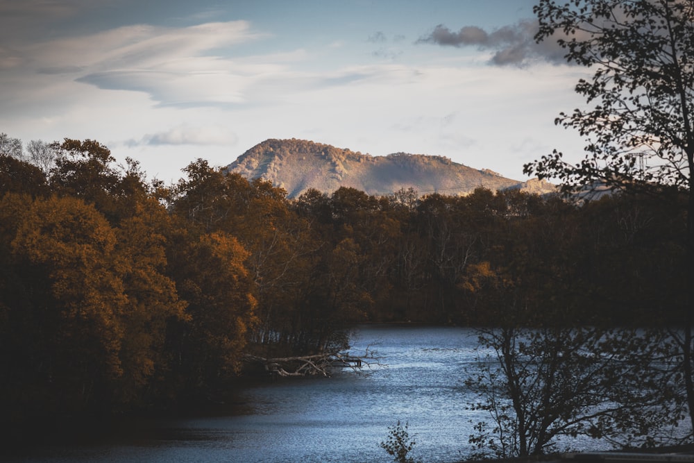 a lake surrounded by trees and mountains