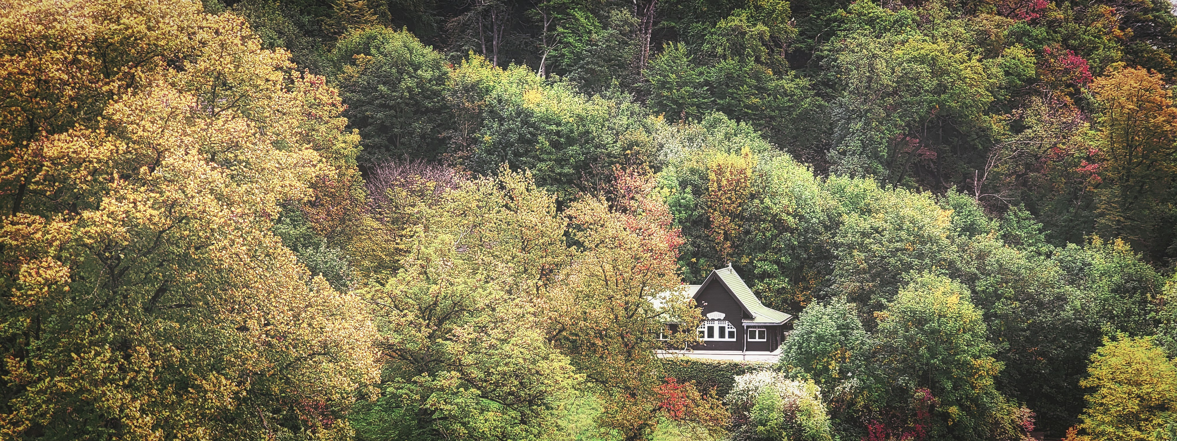 Photo by seele1306
