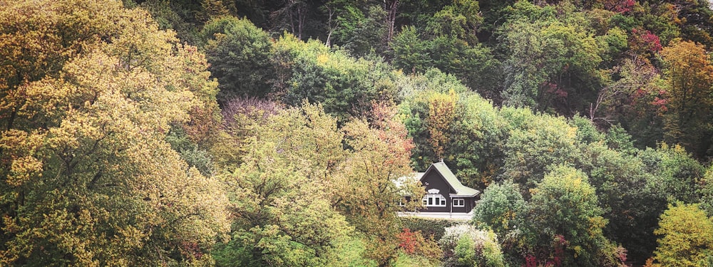 a house surrounded by trees