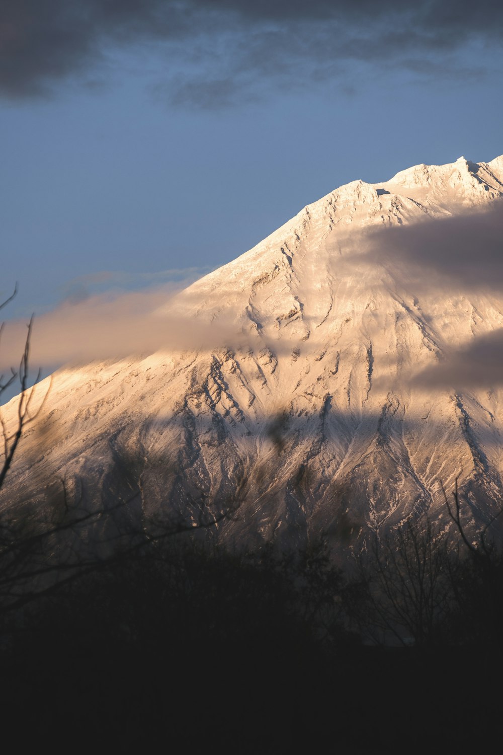 a snowy mountain with trees