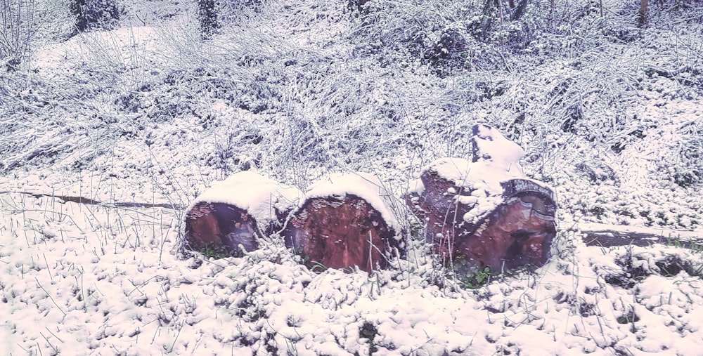 a group of large rocks in a snowy field