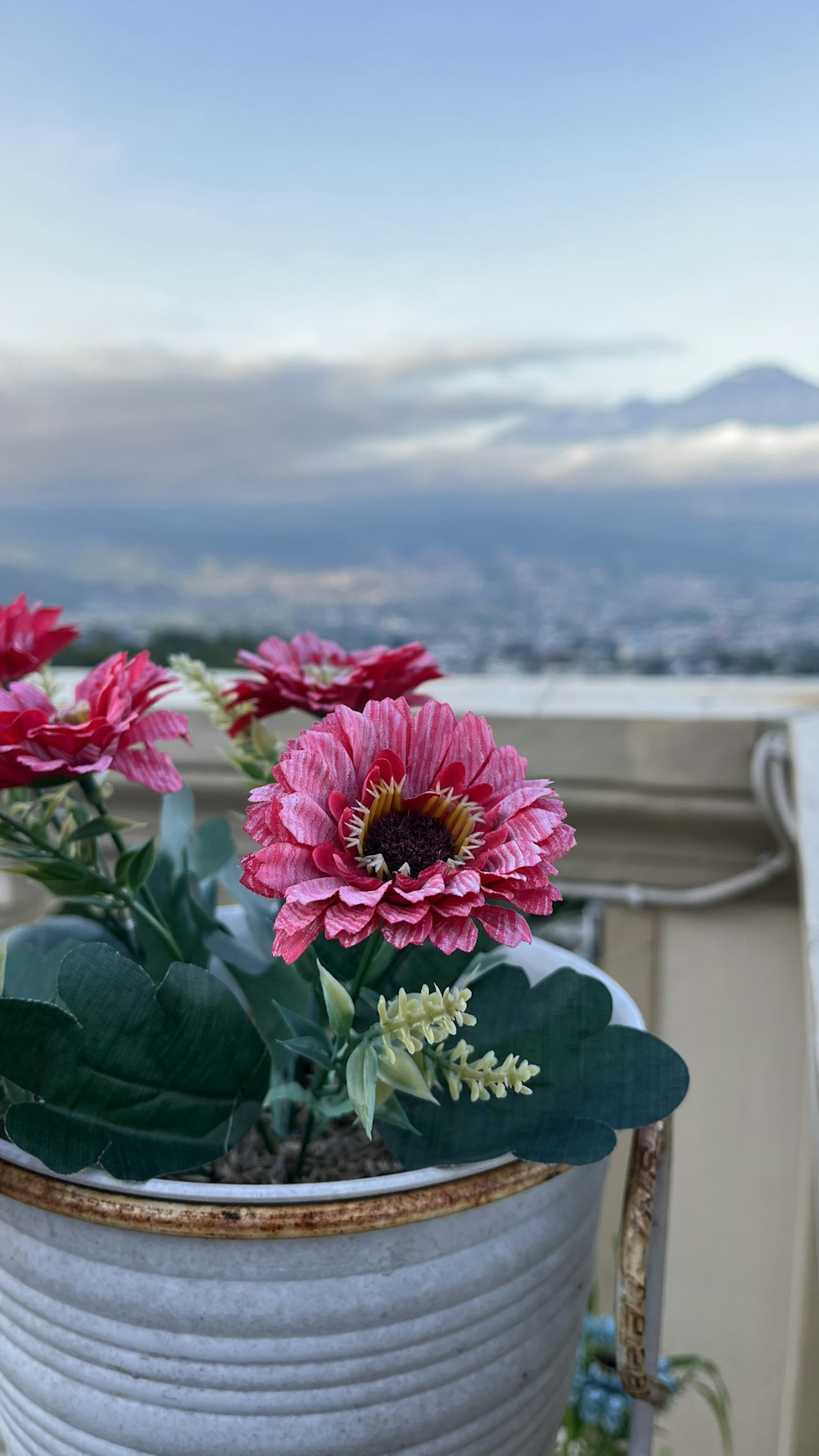 a pot of flowers on a balcony