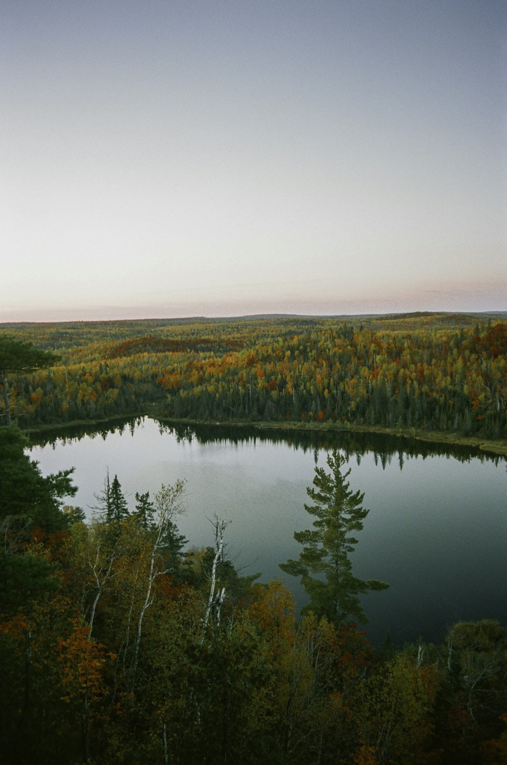 a body of water surrounded by trees