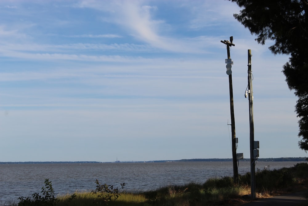 a body of water with a row of street lights and a tree