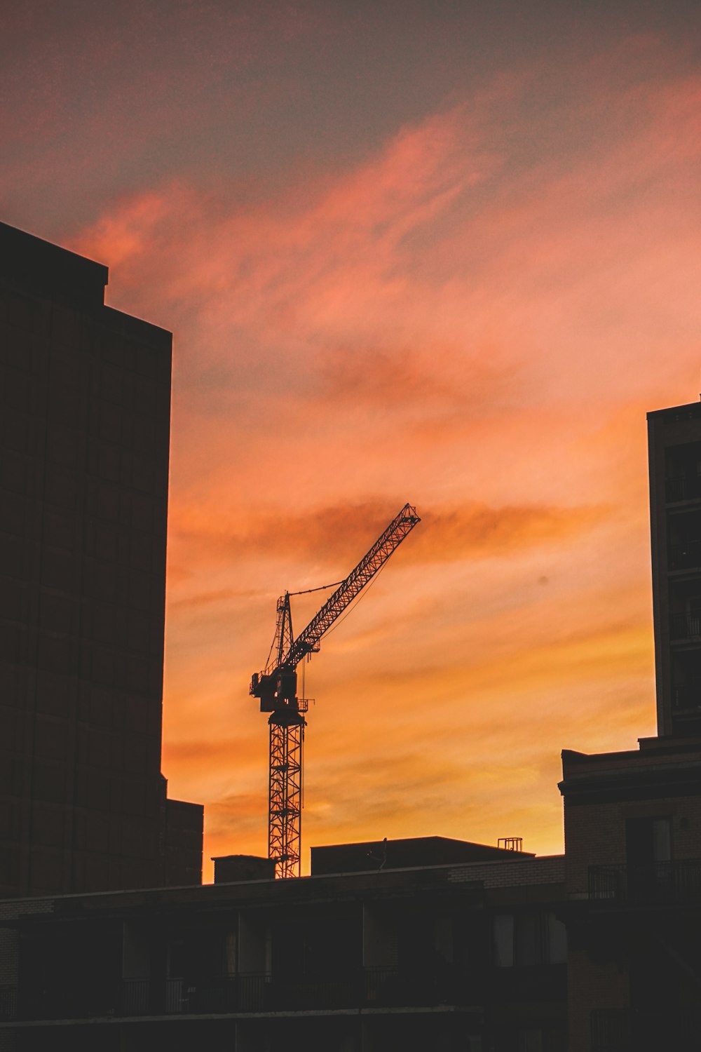 a crane at sunset