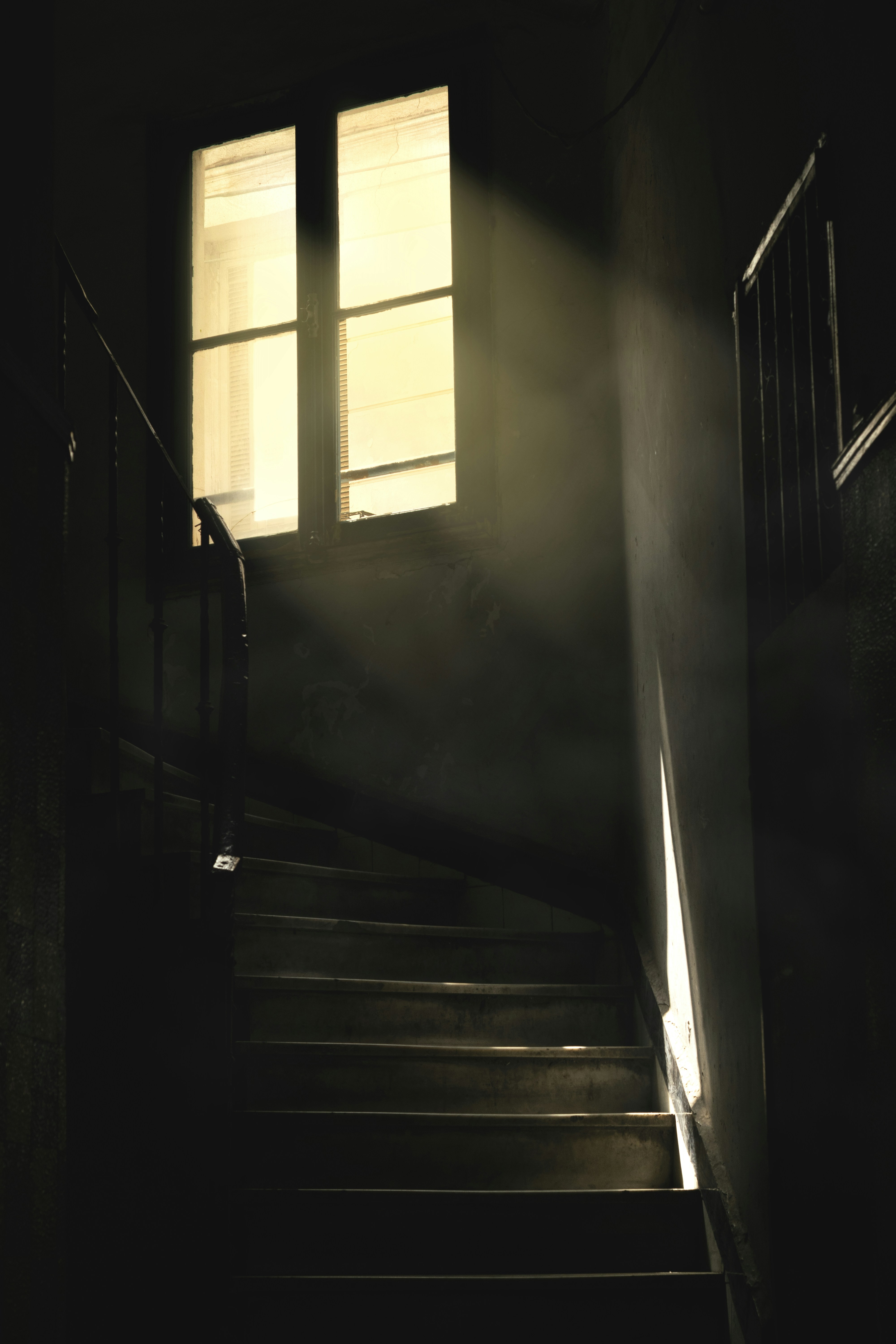 Photo by peacefullworks420