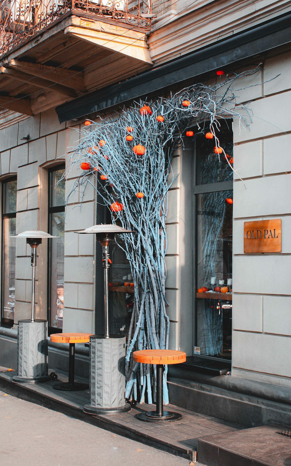 a tree with orange flowers