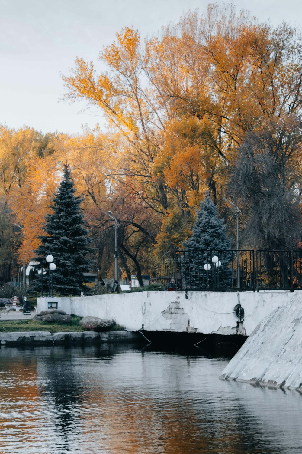 a body of water with trees around it