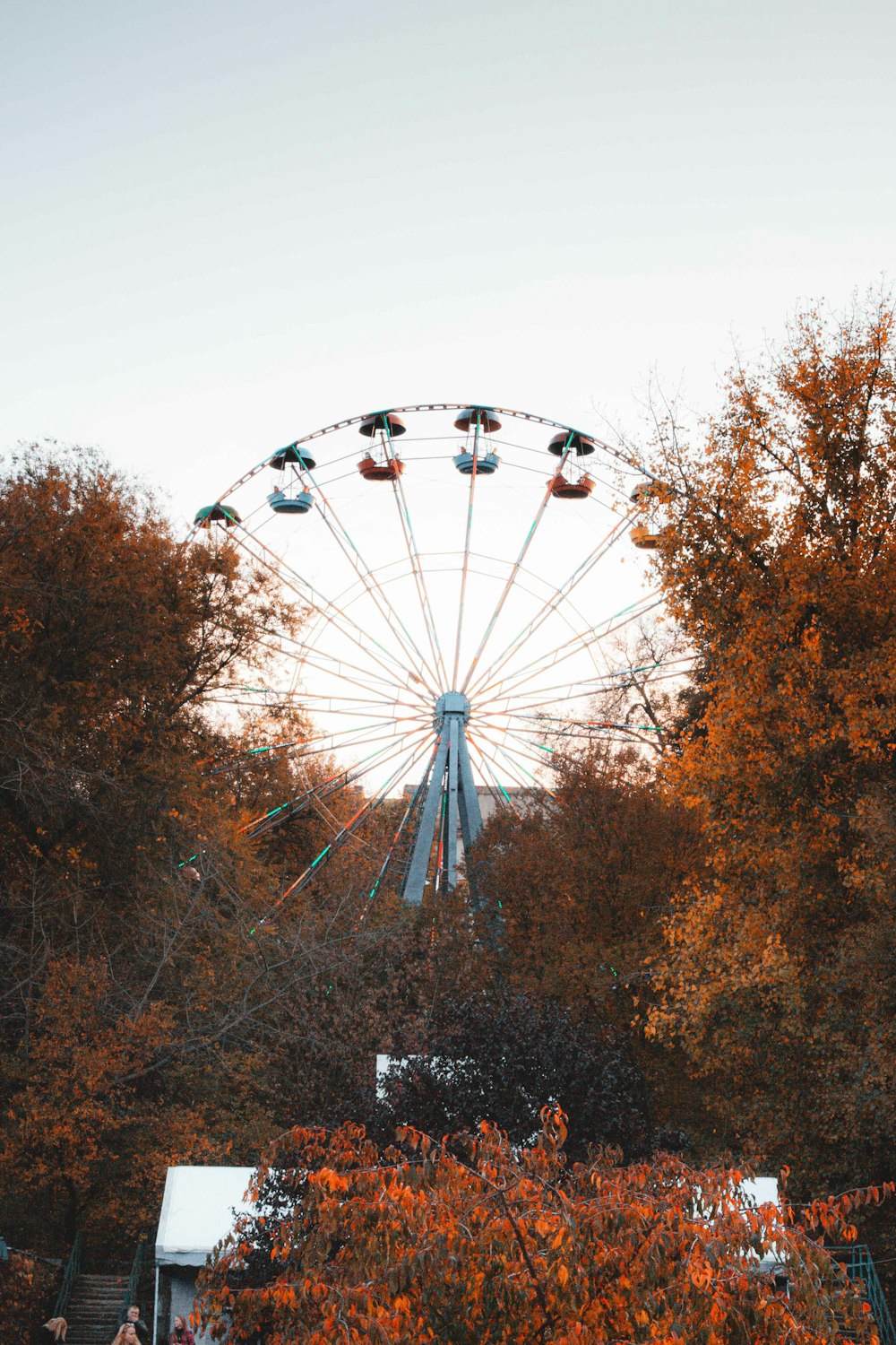 a ferris wheel with trees around it