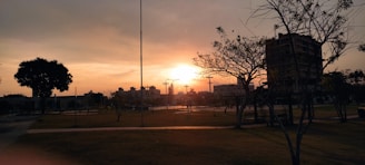 Sunset casting warm light over a landscaped park featuring drought-resistant plants.