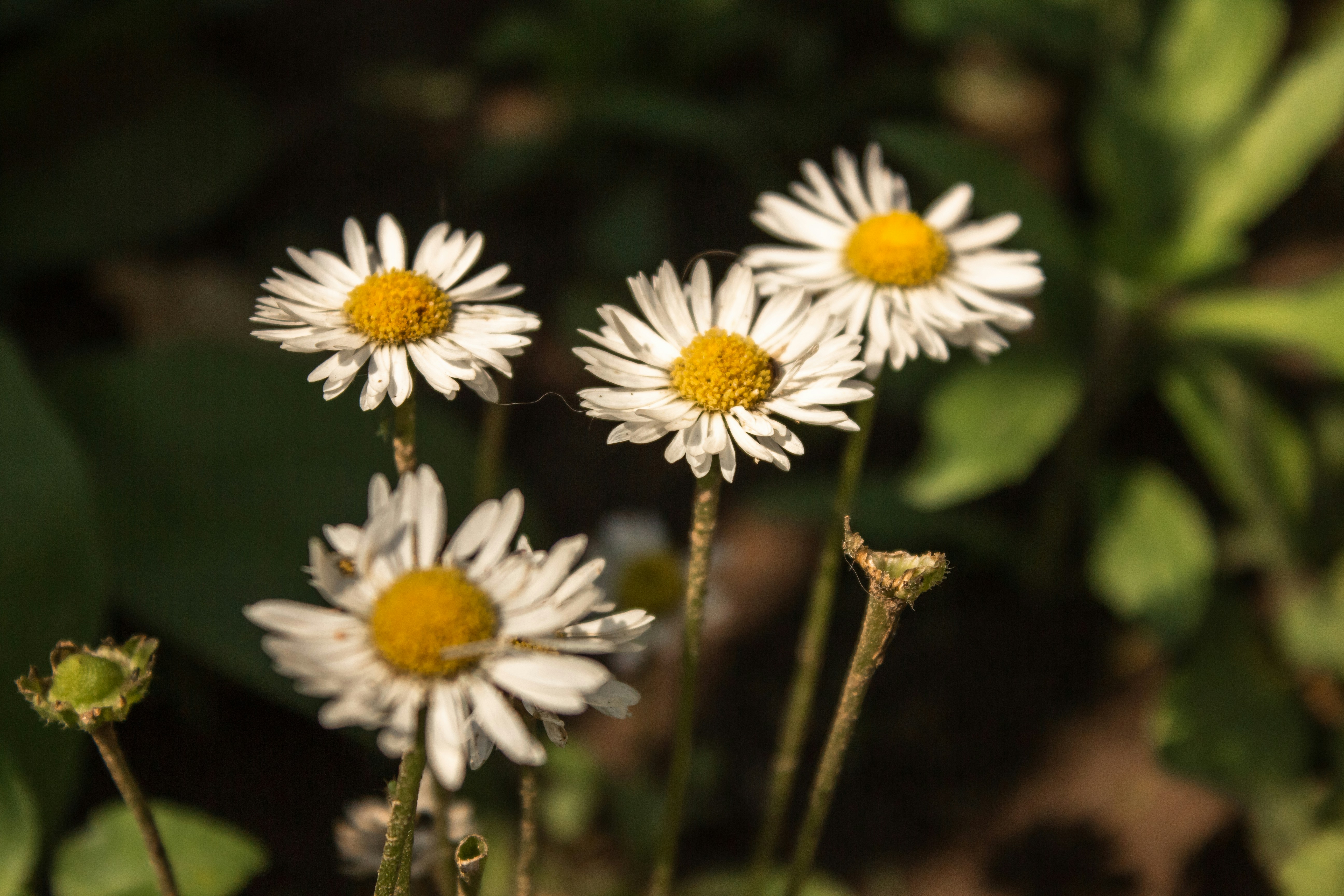 Photo by reanimatedmanx