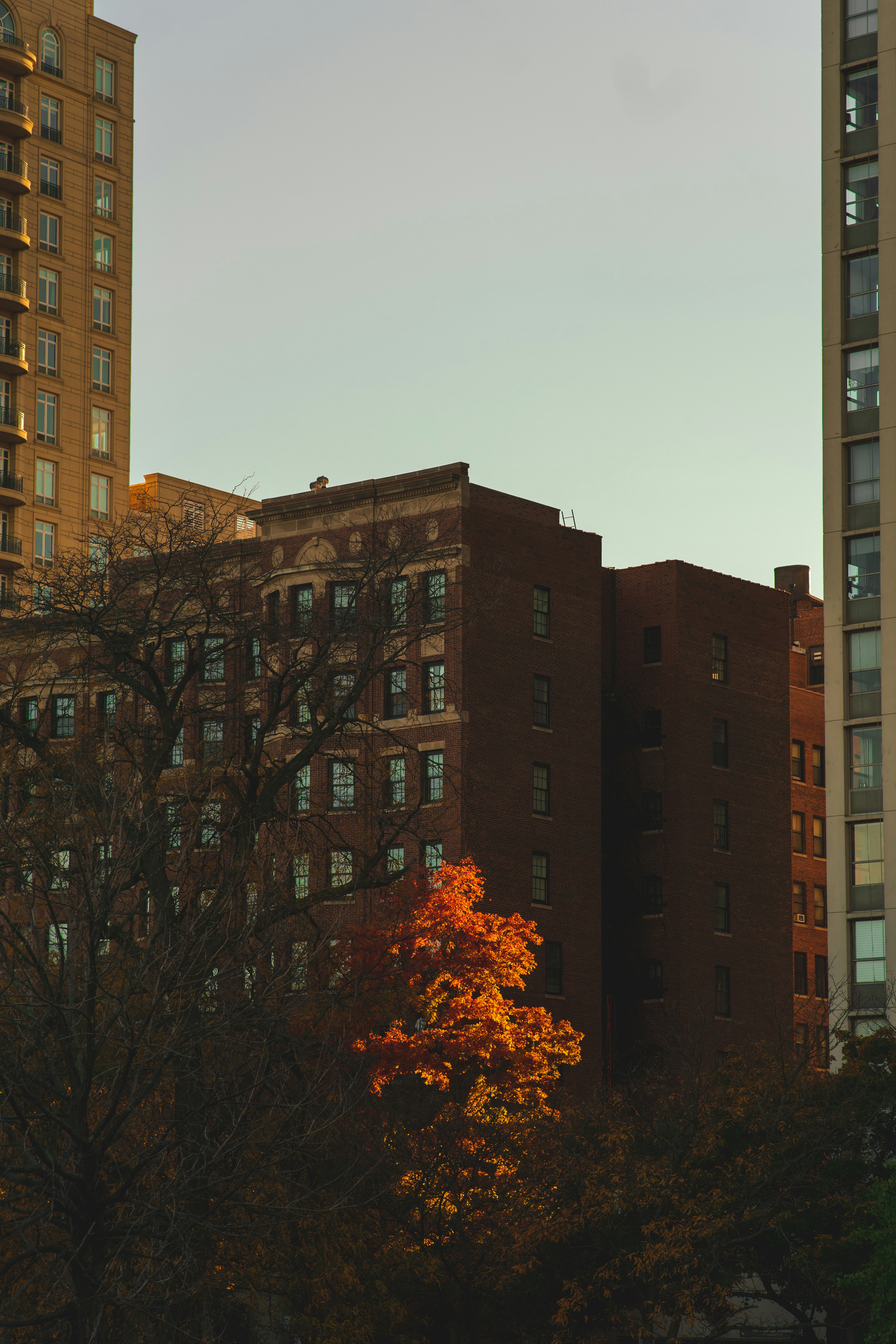 Photo by iprefermike