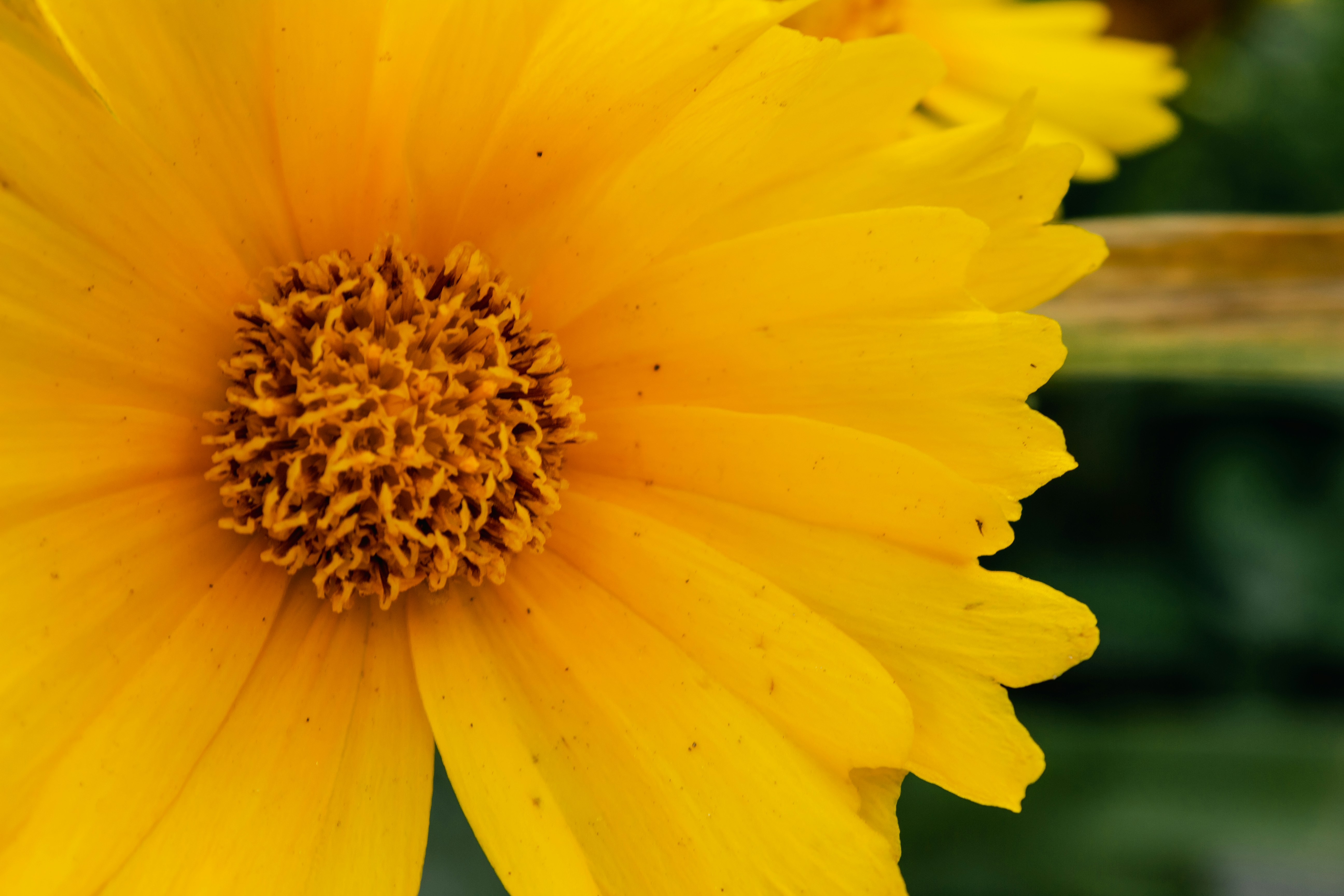 Photo by reanimatedmanx