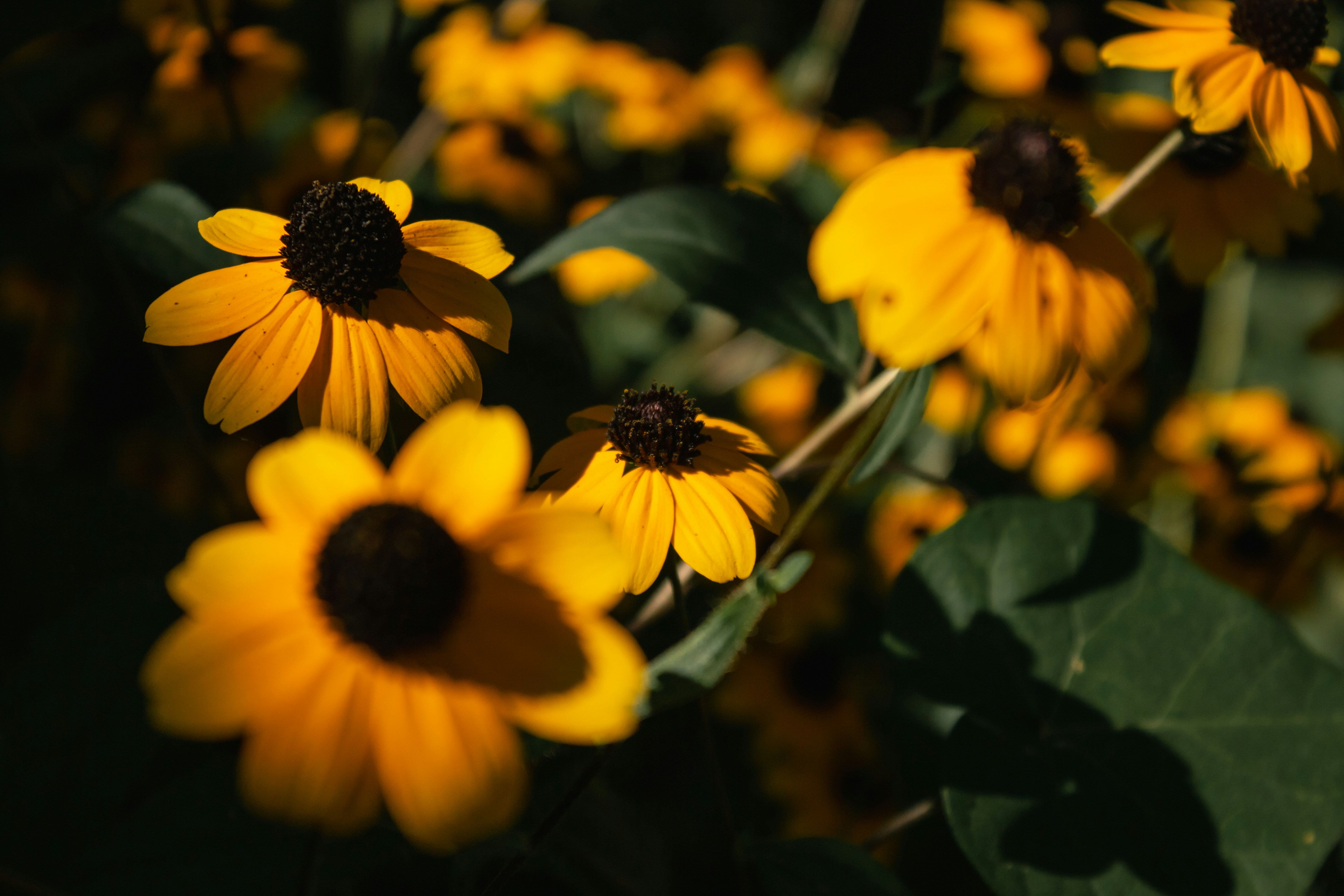 Photo by reanimatedmanx