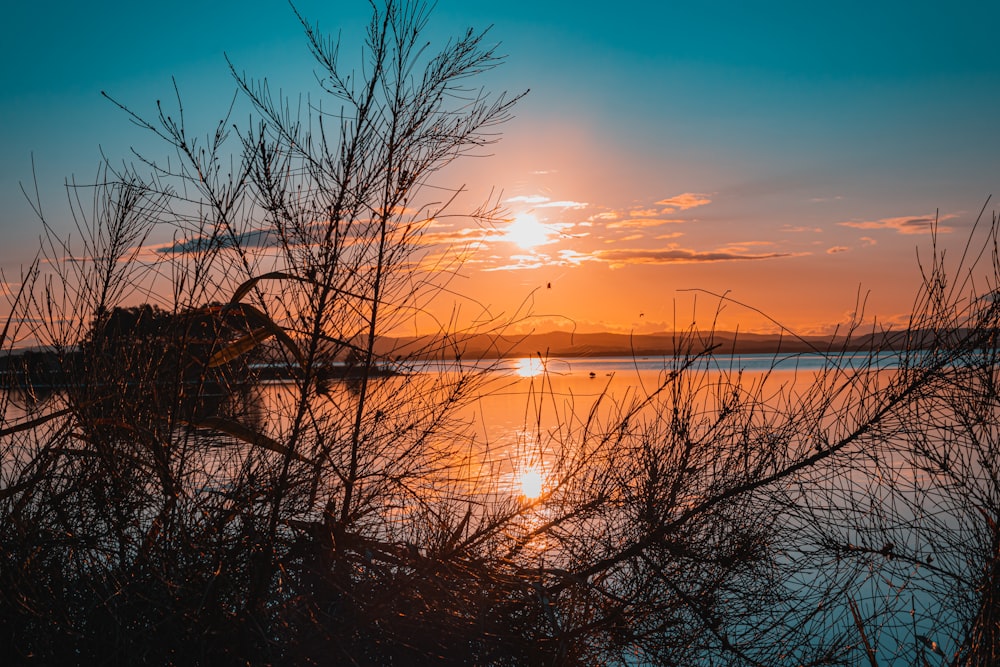 a body of water with trees and a sunset in the background