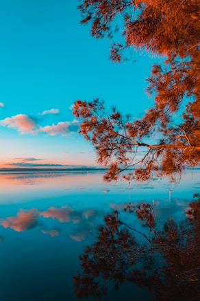 A serene landscape featuring reflective water creating a near-perfect mirror image of overhanging branches and a vibrant sky. The sky is painted with a gradient of blue and orange hues, with soft clouds scattered throughout. The calm water enhances the symmetry, producing a tranquil and picturesque scene.