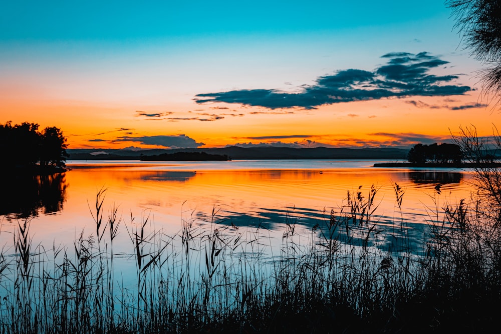 a body of water with trees and a sunset in the background