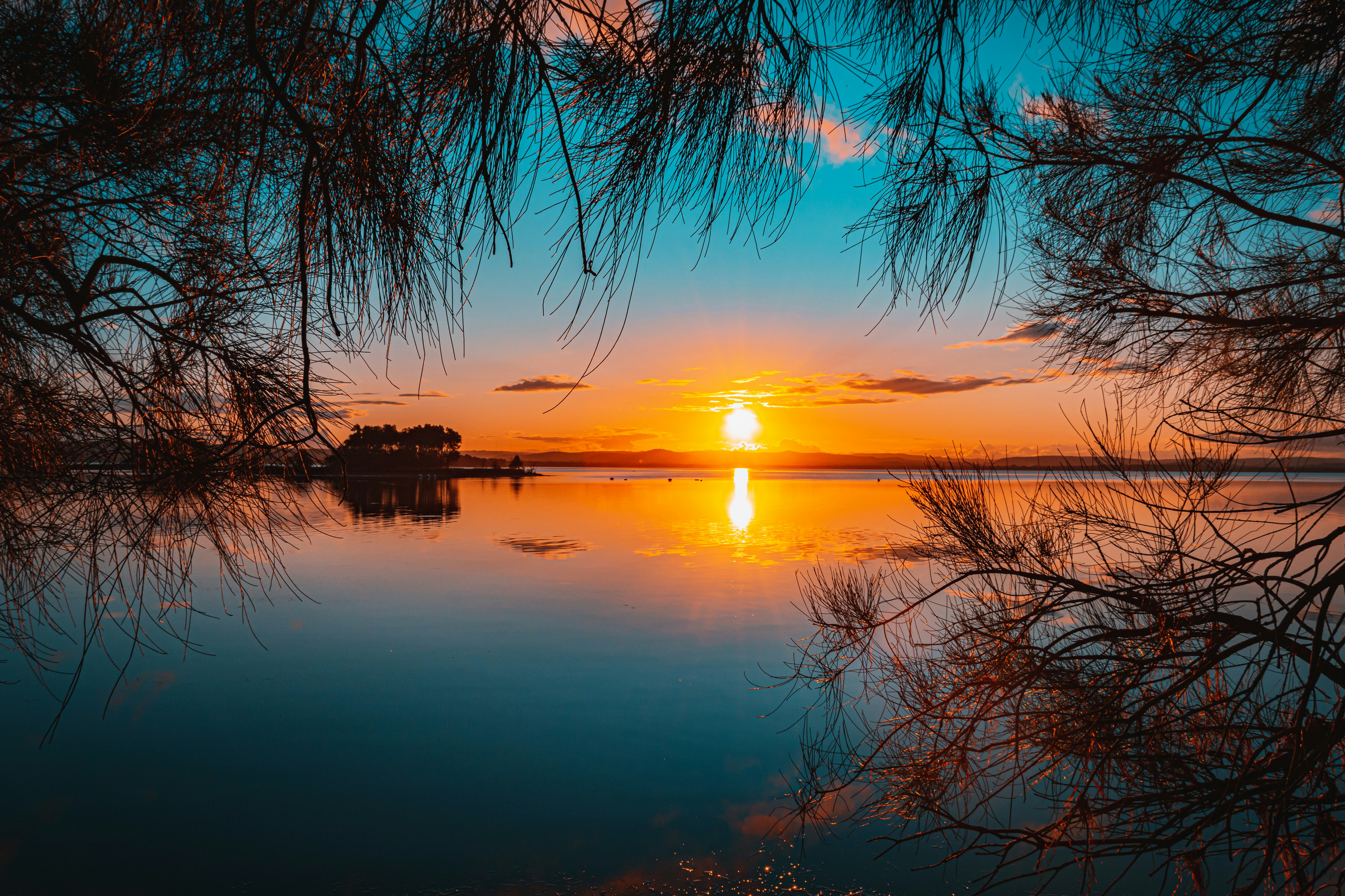 Photo by nicolescapturedmoments