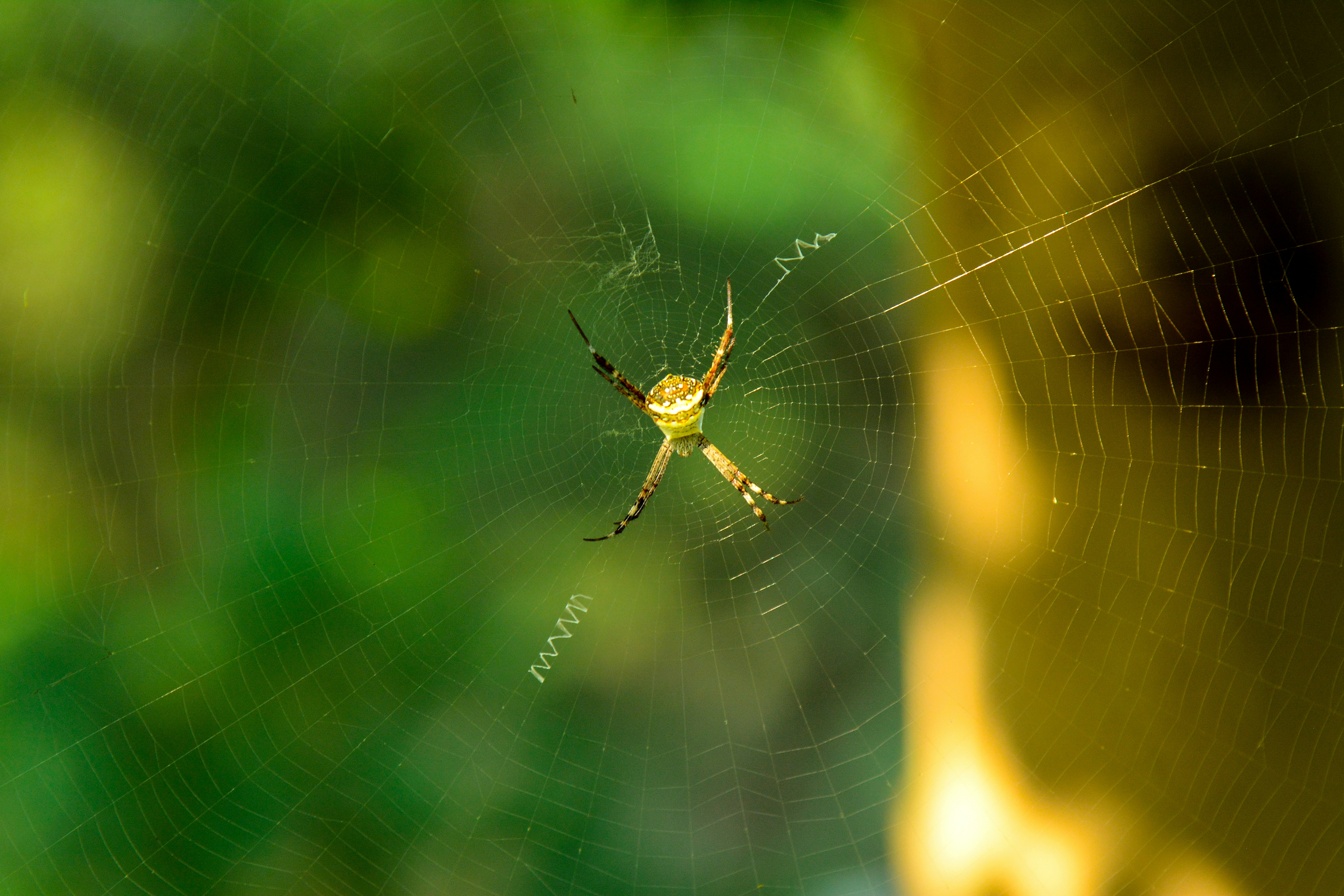 Photo by arpitjpatel1999