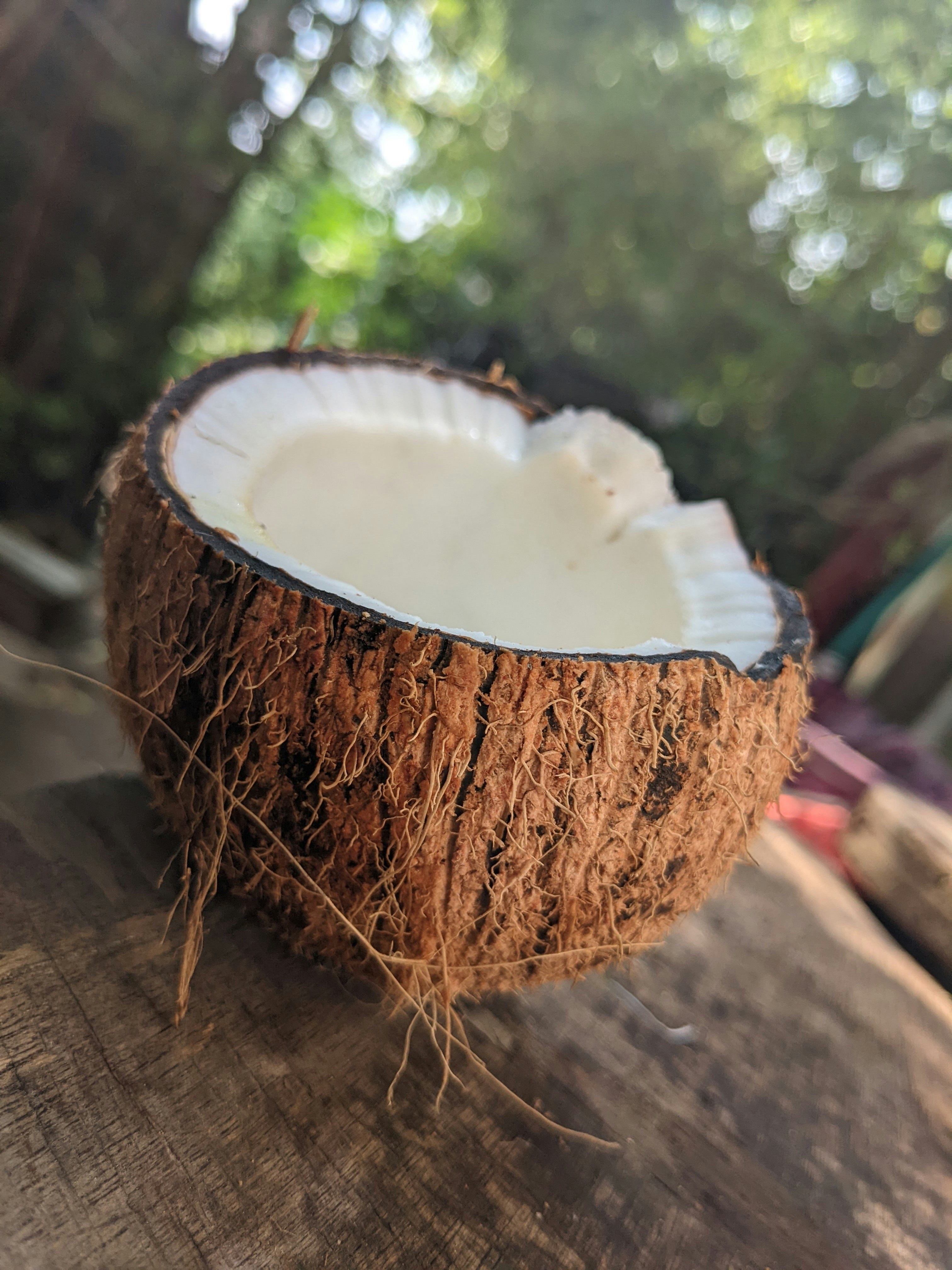 Fresh Coconut Delight