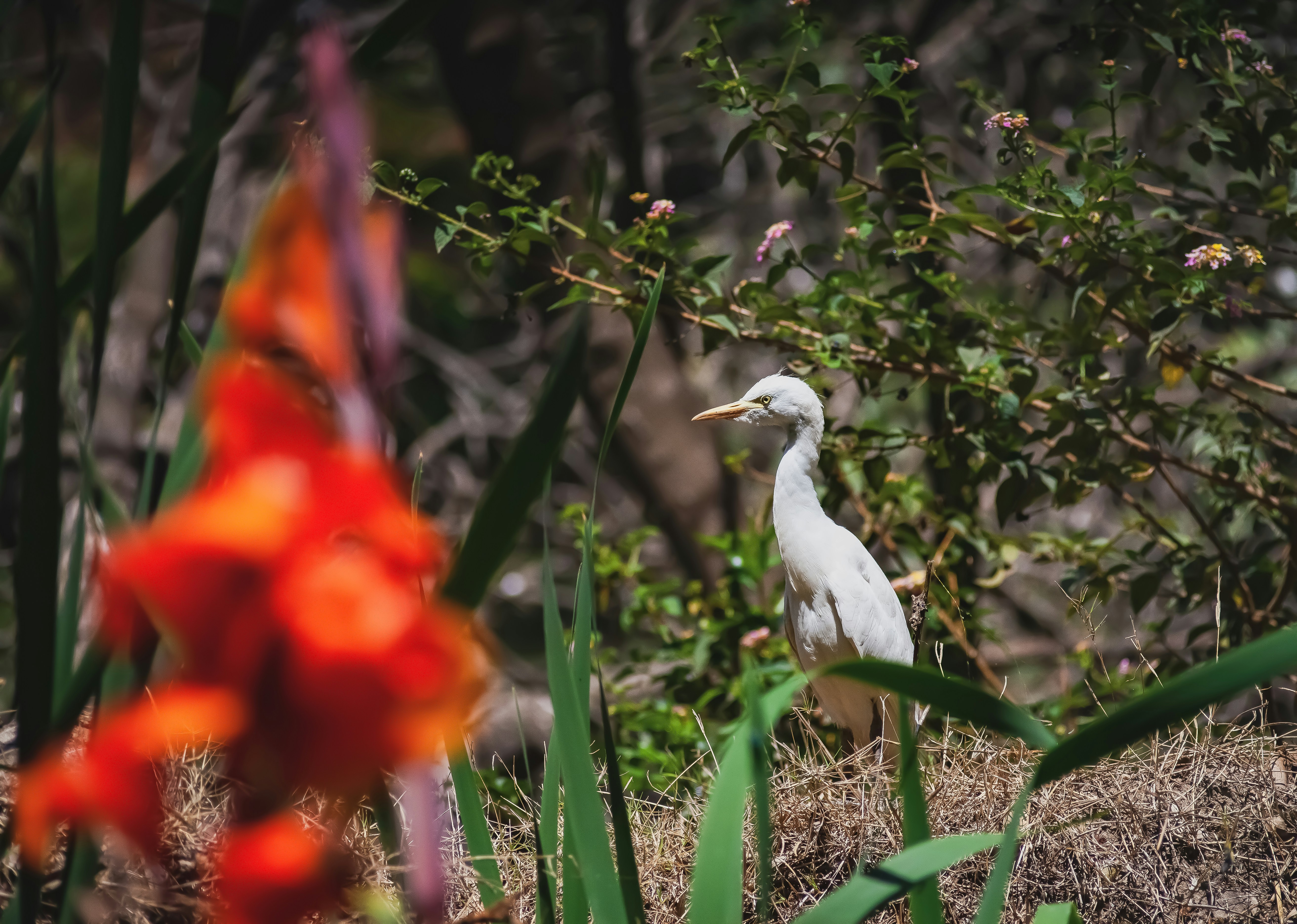 Antananarivo – Transportation & Getting Around