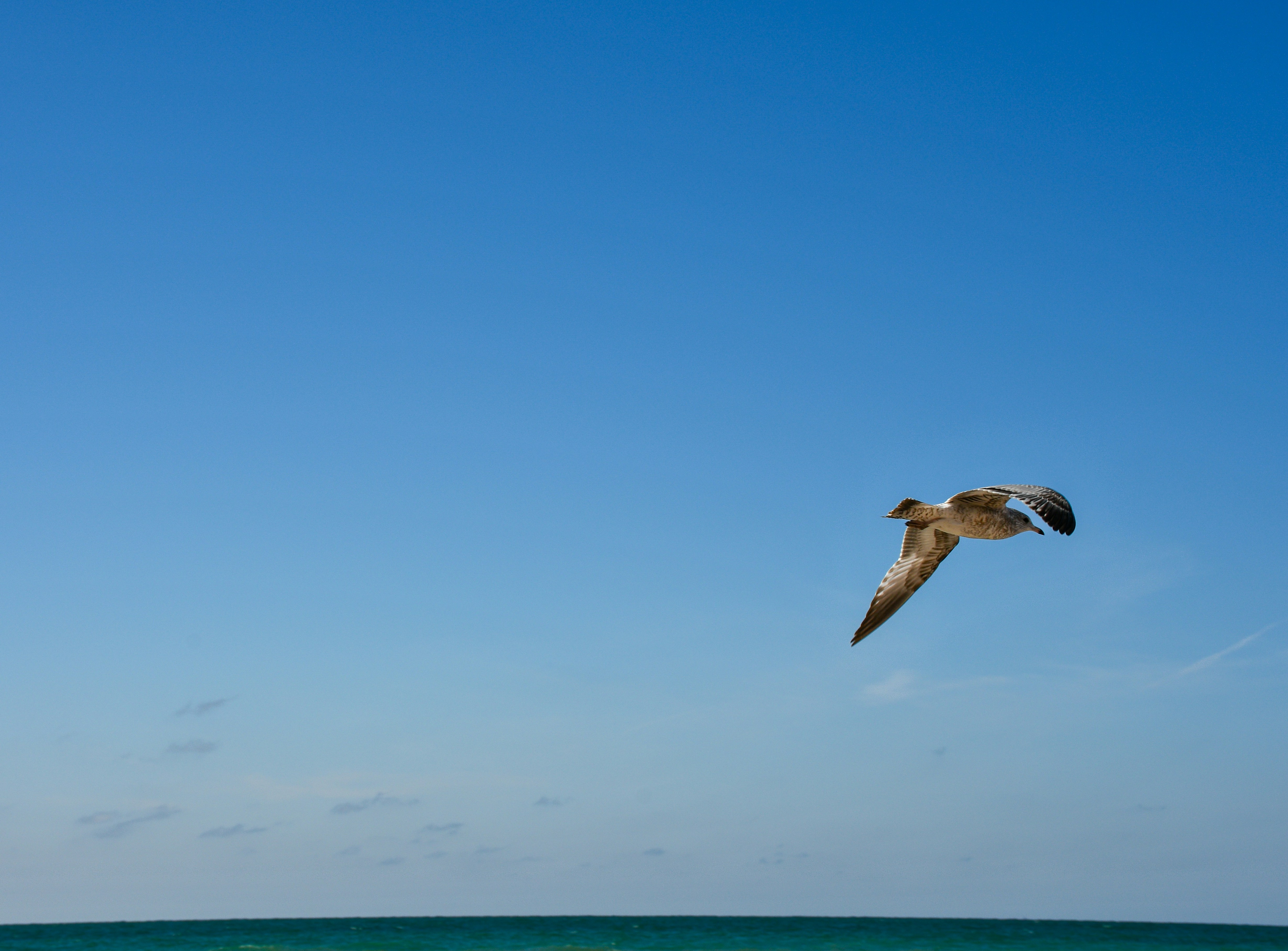 Photo by clovegrove7