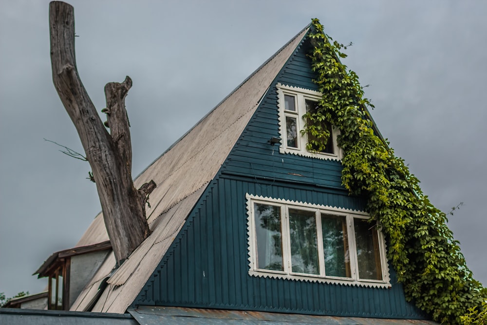 a tree branch next to a house