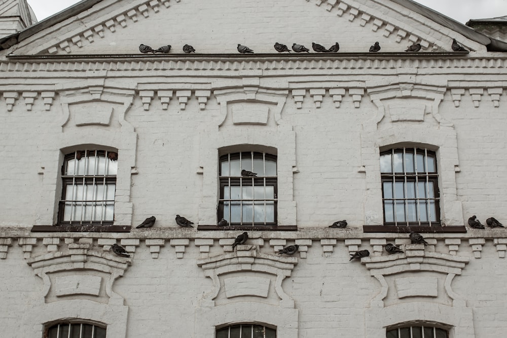 a building with windows