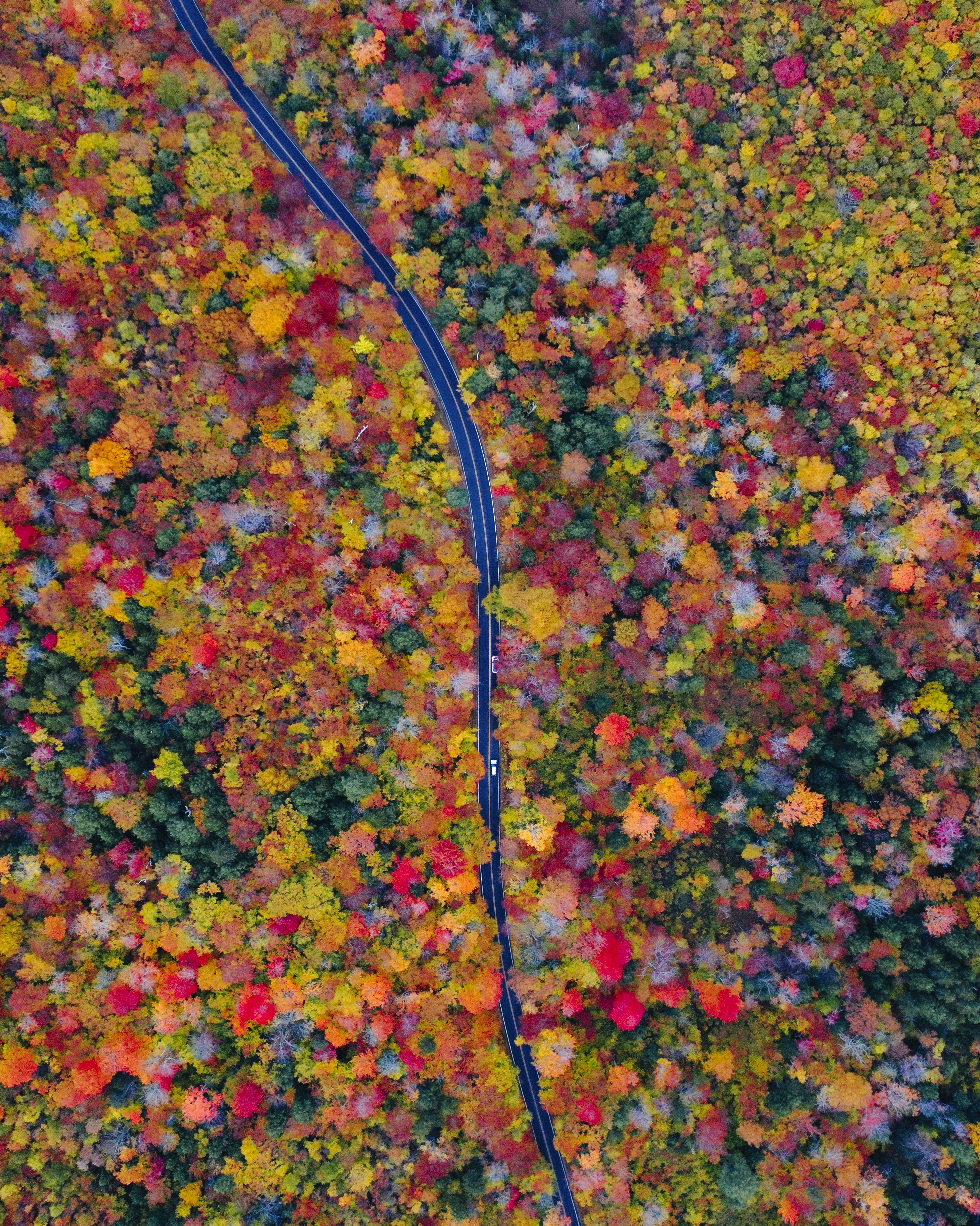 Position Feedback Technologies: Encoders, Resolvers, and Absolute Sensors