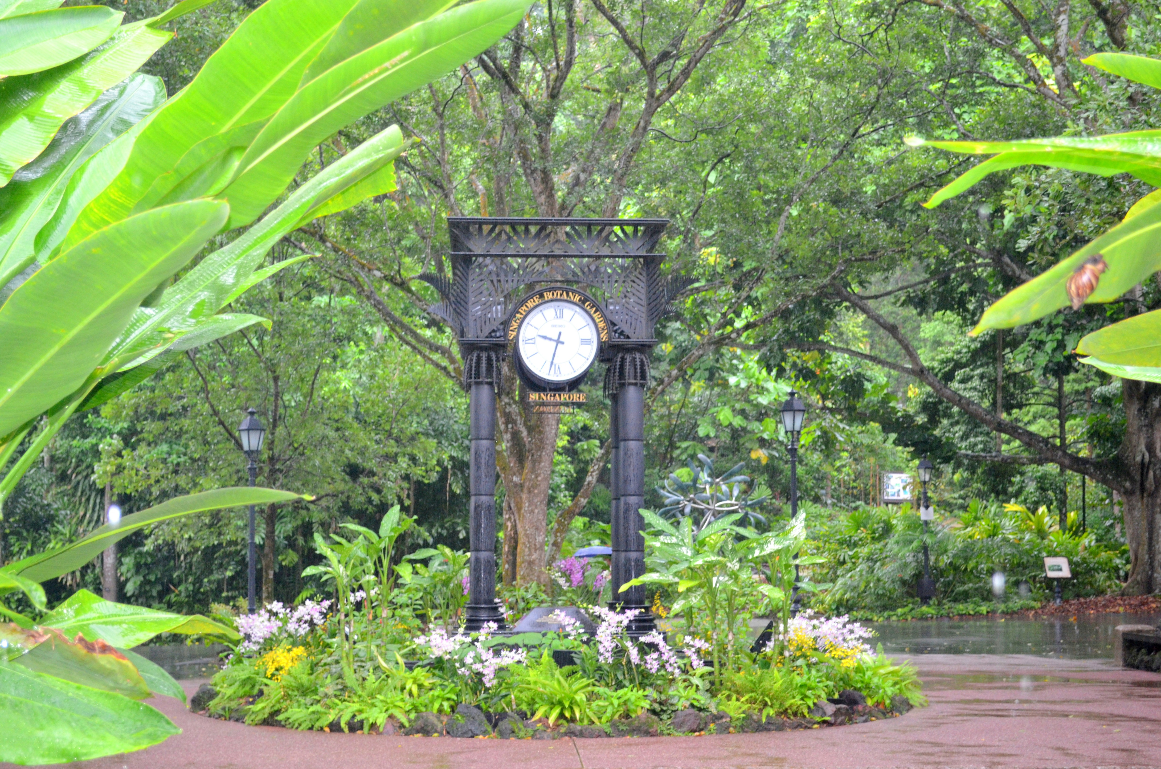 a clock on a pole