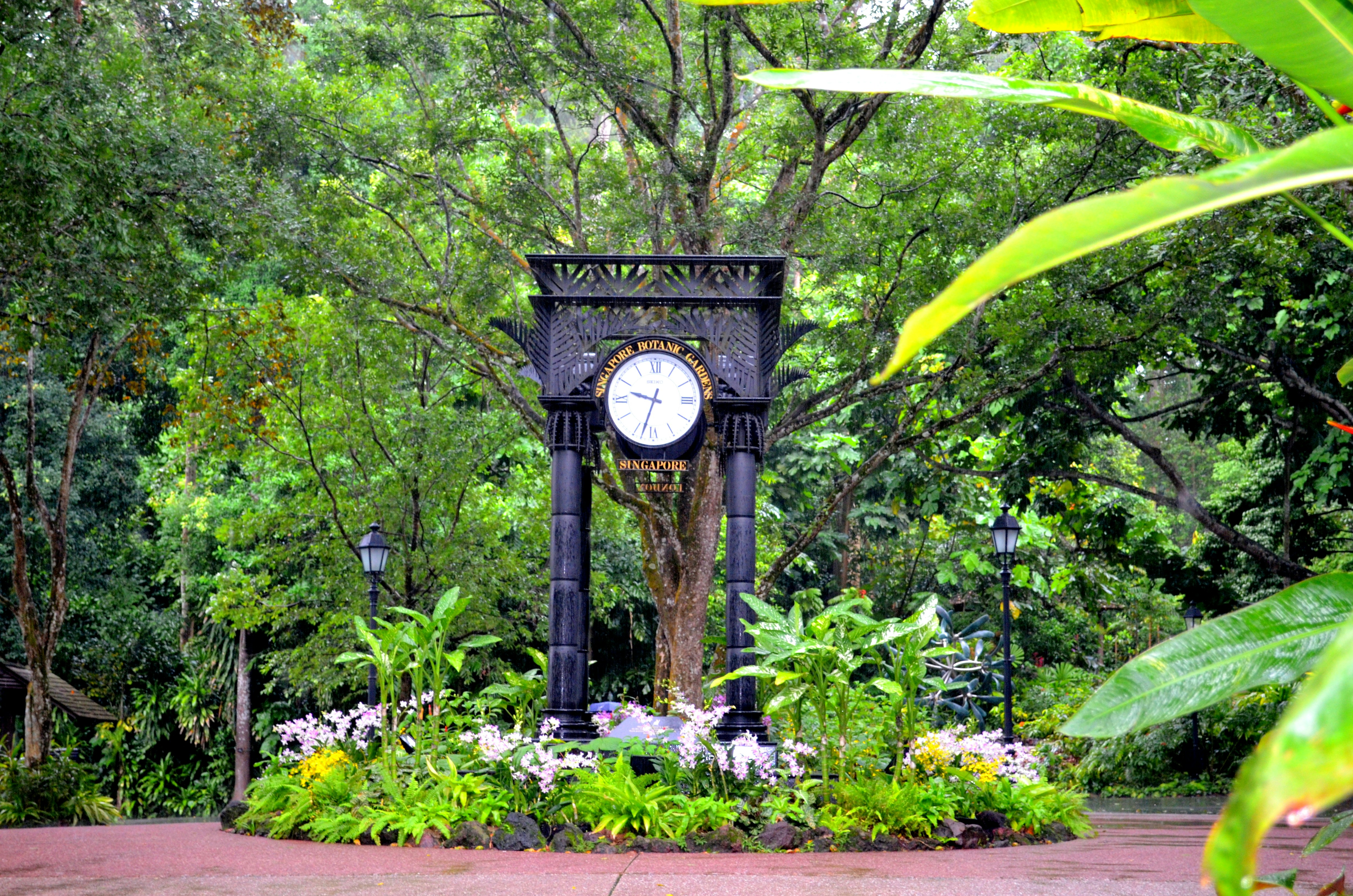 a clock in a garden