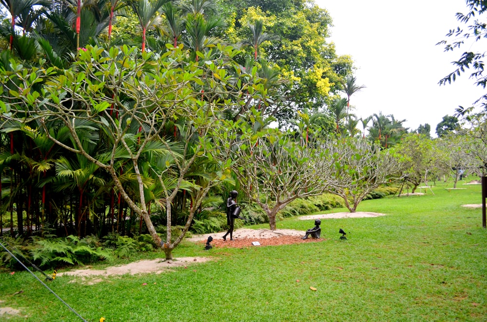 a person standing in a park with trees and grass