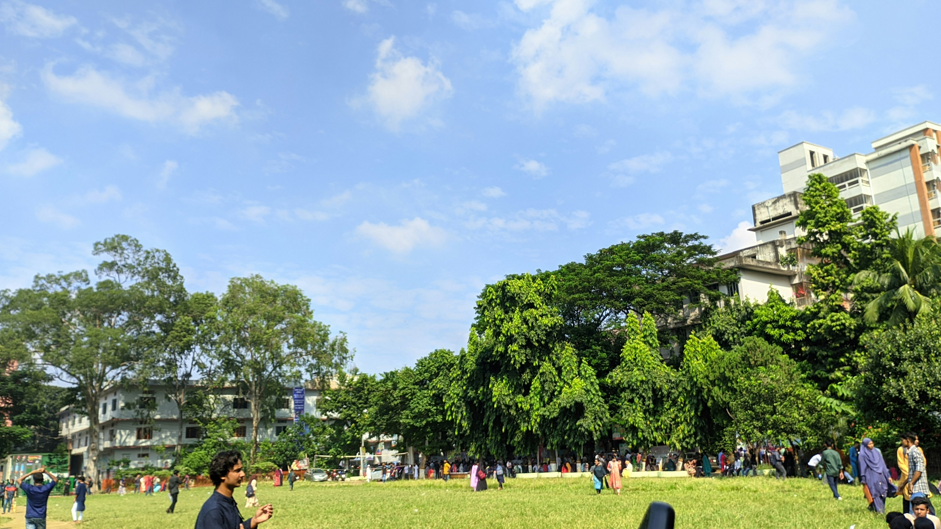 Students gathering in park