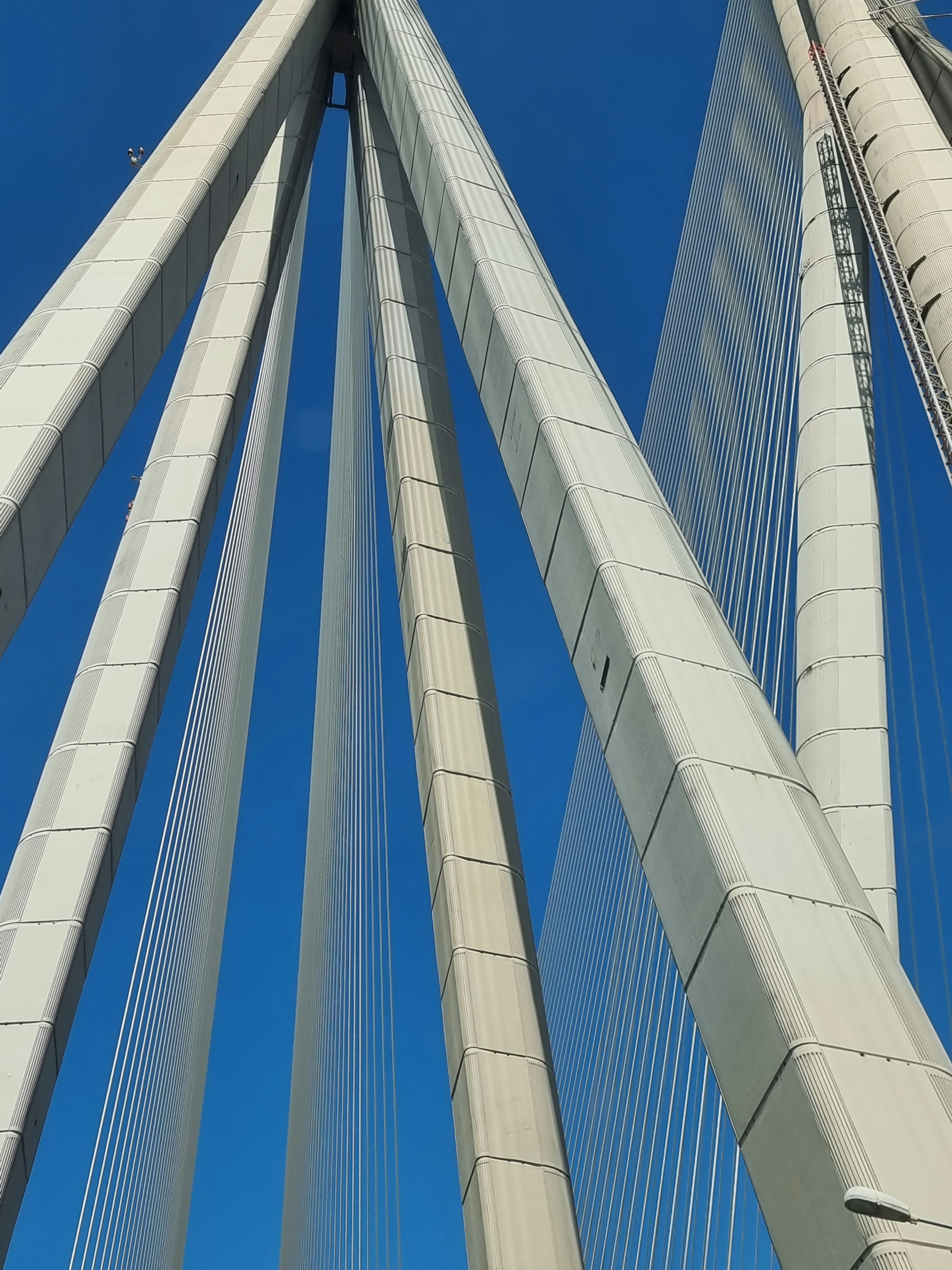 Photo by utpalbiyani