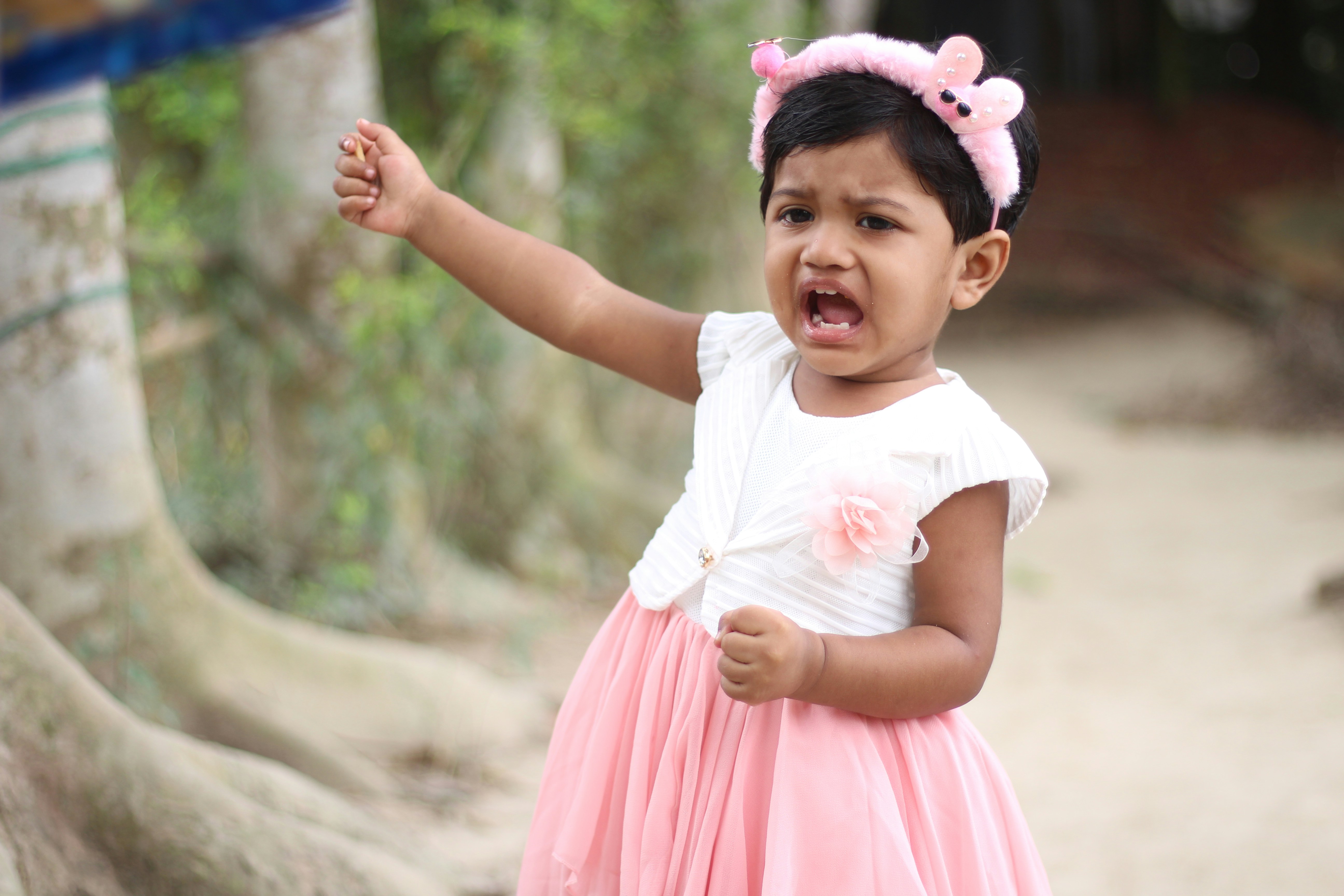 Photo by tobarakhossain