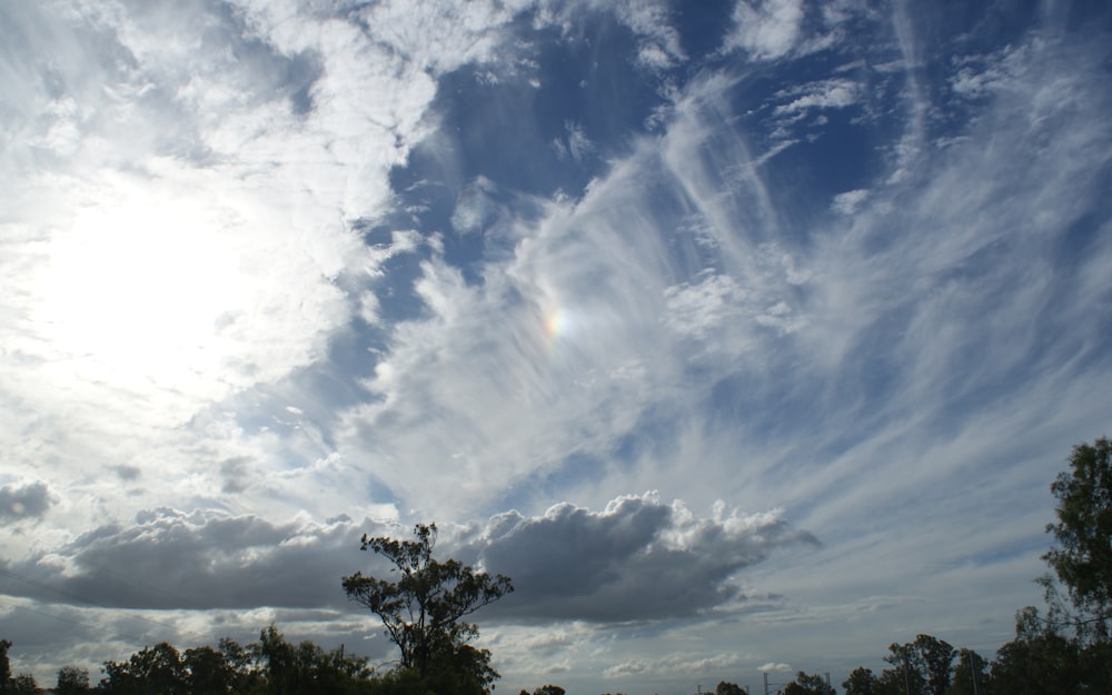 a cloudy sky with trees